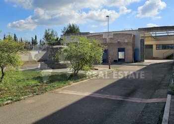 6.jpg - Locale Commerciale Via Gallipoli, Galatone - foto 6