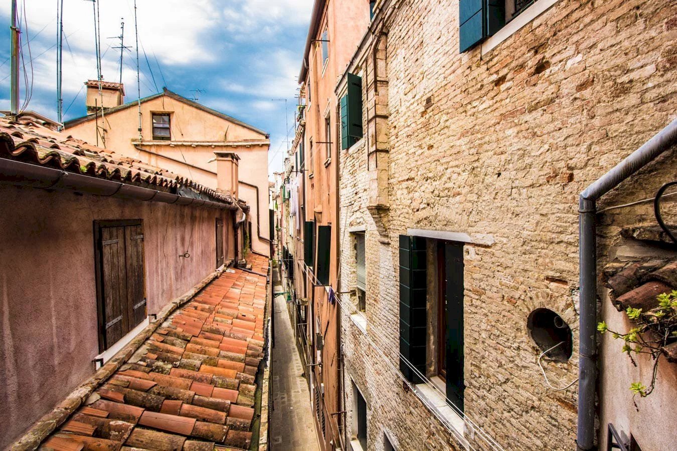 Three-room apartment Venezia - photo 2