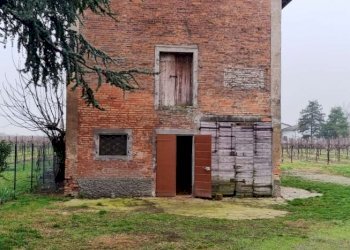 Capannone Soliera - foto 2