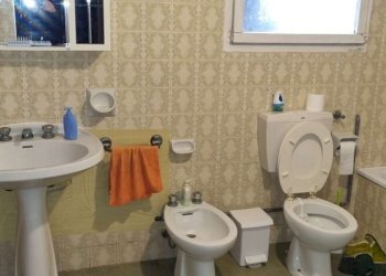 Capannone Soliera - foto 8