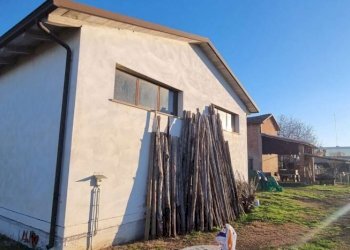 Capannone Soliera - foto 13