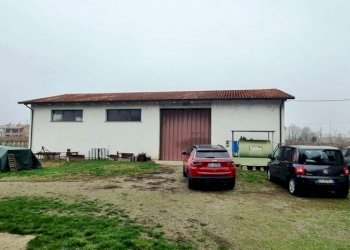 Capannone Soliera - foto 15