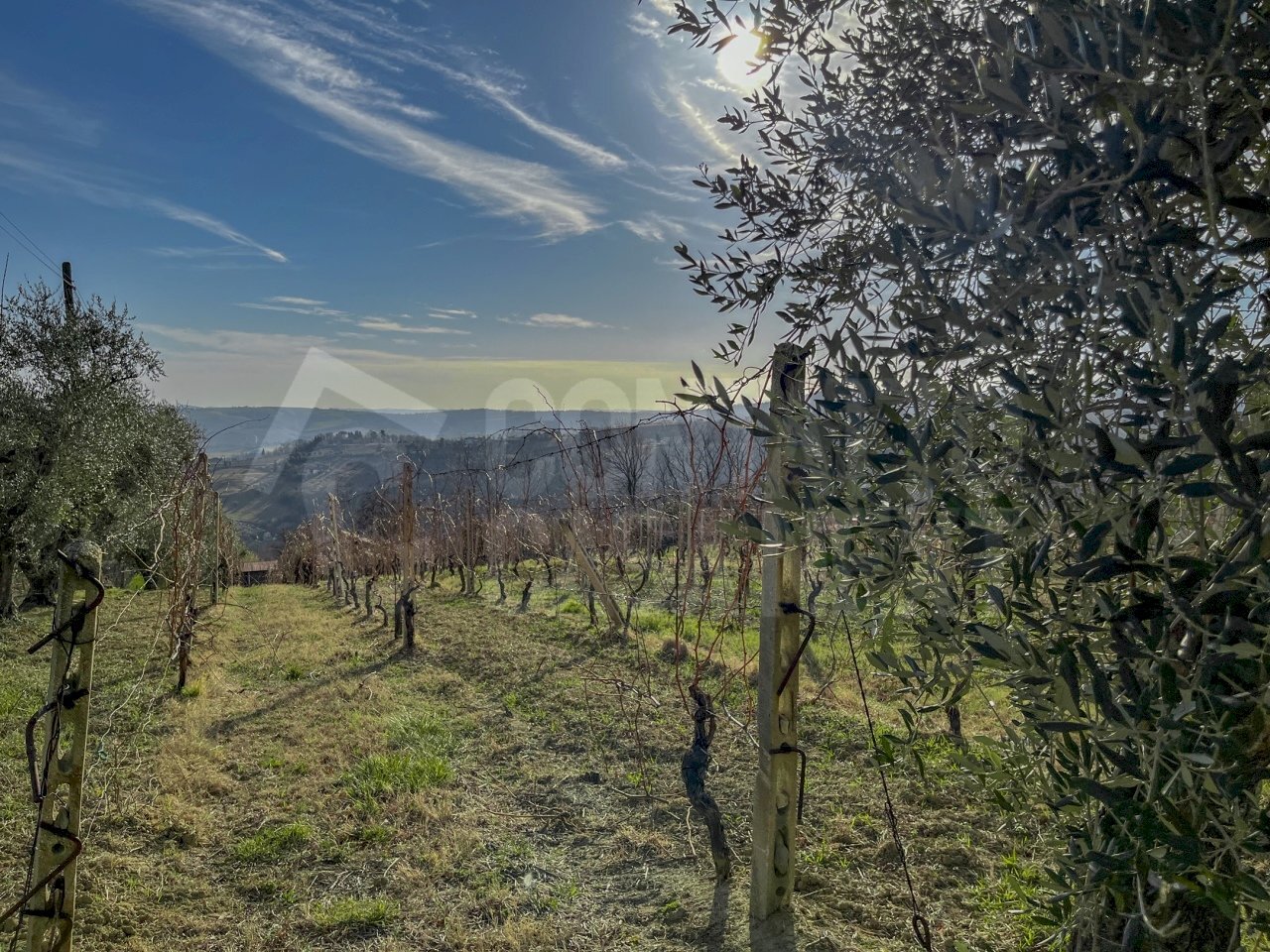 E6DF68EC-8795-4EE5-991A-8279E57B3428.jpeg - Terreno agricolo Monte Roberto - foto 1