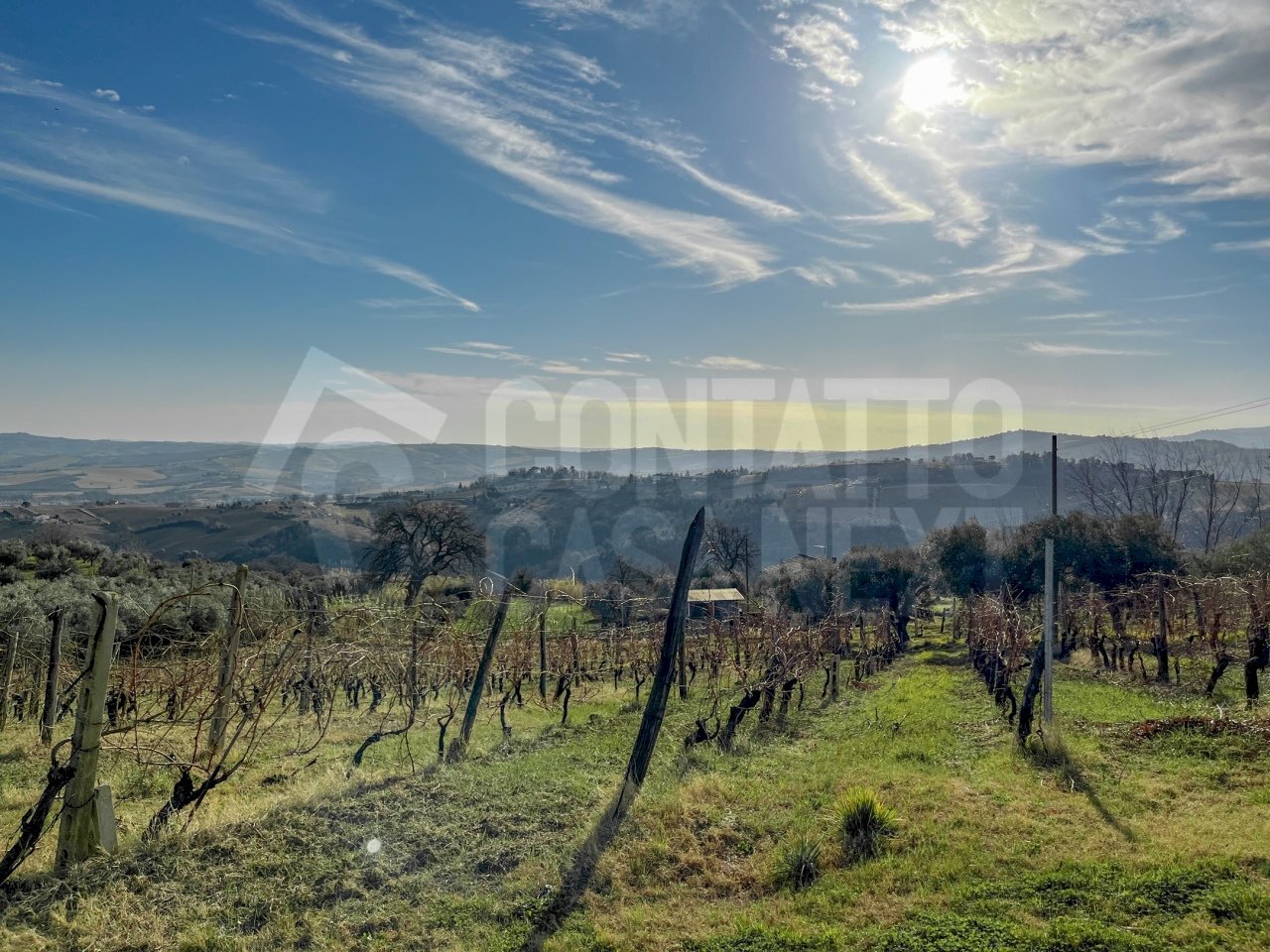 AF438579-CE72-42D0-8DB5-F351949FBD06.jpeg - Terreno agricolo Monte Roberto - foto 2