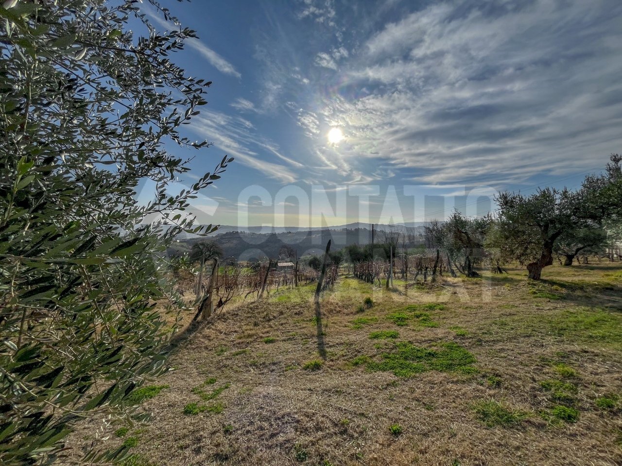 16B44461-2549-4F67-A16A-79100465EF5B.jpeg - Terreno agricolo Monte Roberto - foto 3