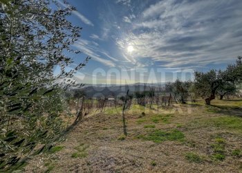 16B44461-2549-4F67-A16A-79100465EF5B.jpeg - Agricultural land Monte Roberto - photo 3