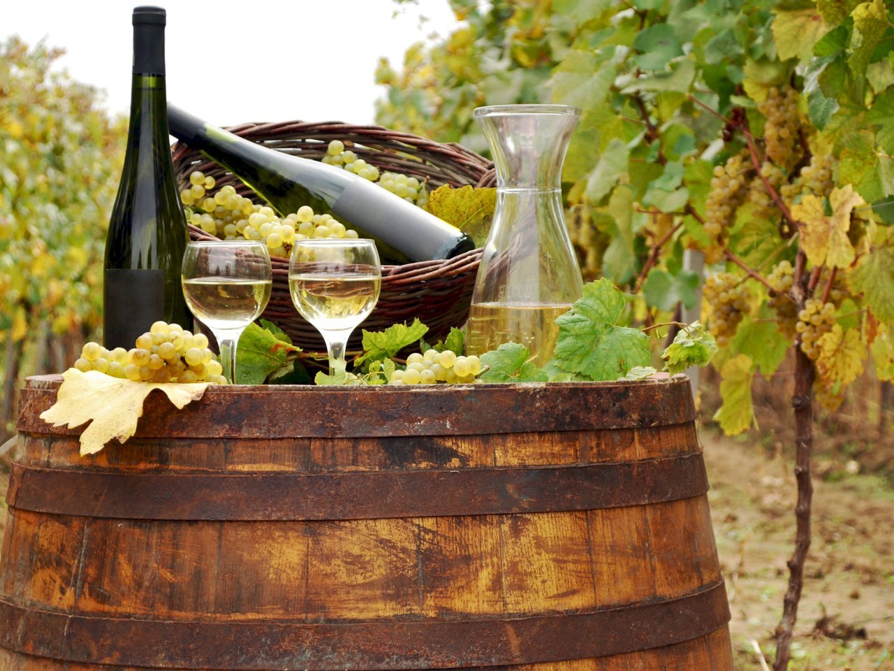 casa.png - Casale Monte Roberto - foto 1