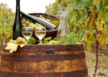 casa.png - Casale Monte Roberto - foto 1