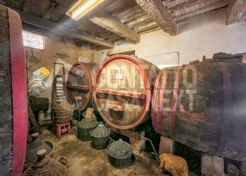 CE9DBD7B-ED91-462A-9798-FD6E37AFA44D.jpeg - Casale Monte Roberto - foto 3