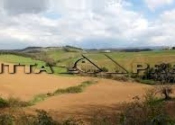 Trilocale Via Garibaldi, Fauglia - foto 4