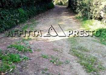 Trilocale Via Garibaldi, Fauglia - foto 7