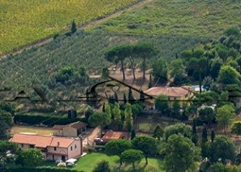 Monolocale Via Casaferri, Fauglia - foto 5