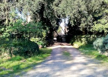 Monolocale Via Casaferri, Fauglia - foto 8