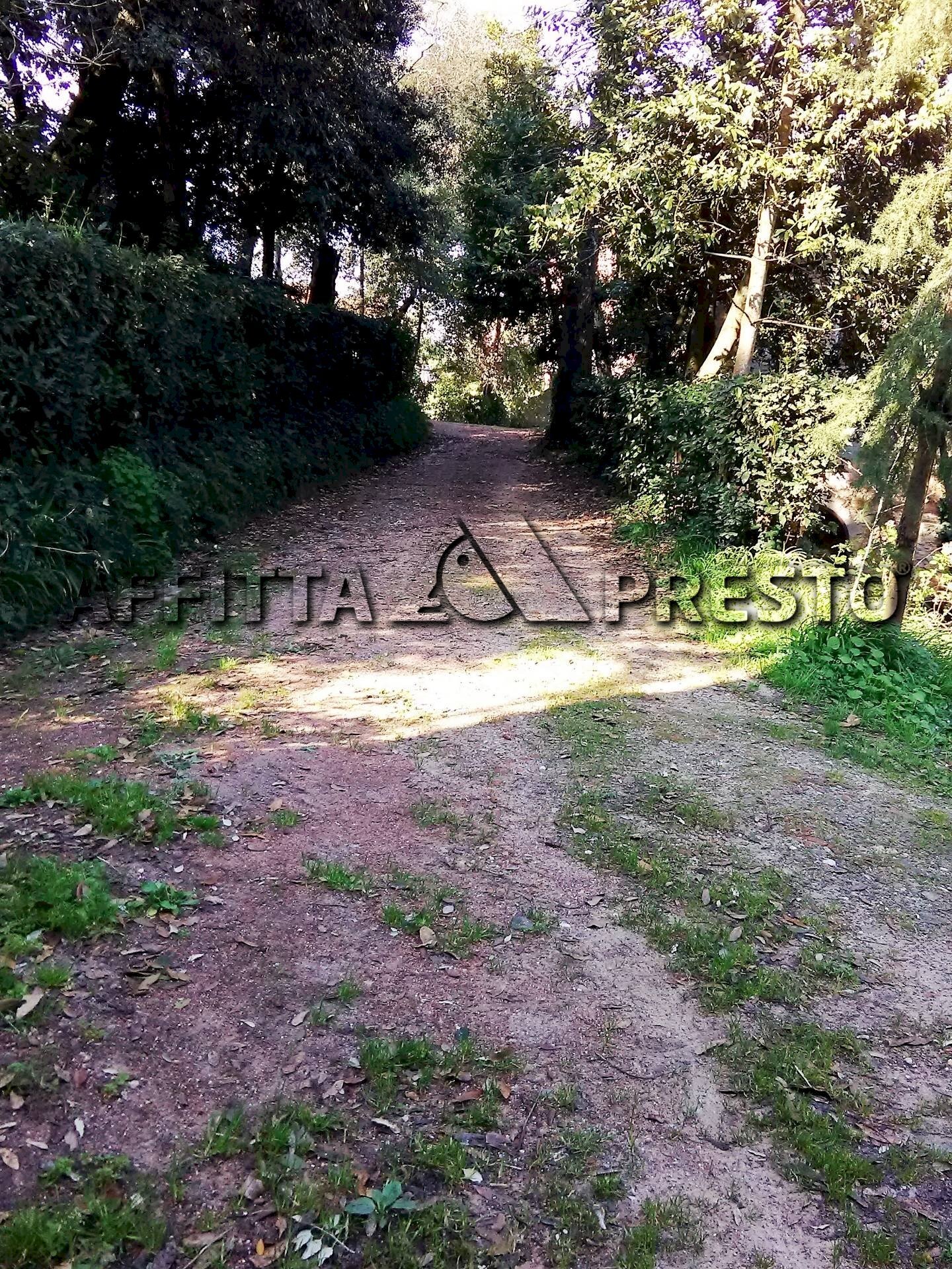 Monolocale Via Casaferri, Fauglia - foto 3