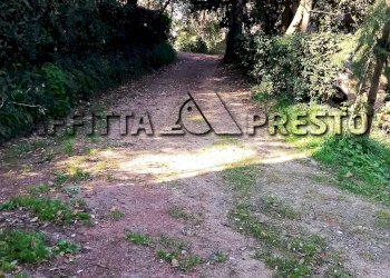 Monolocale Via Casaferri, Fauglia - foto 3