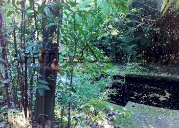 Monolocale Via Casaferri, Fauglia - foto 8