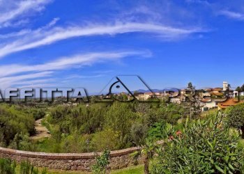 Monolocale Via Casaferri, Fauglia - foto 10