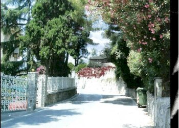 Immagine 2024-03-03 172441.jpg - Terreno agricolo strada Solaro 78, Sanremo - foto 8