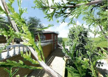 Immagine 2024-03-03 172546.jpg - Terreno agricolo strada Solaro 78, Sanremo - foto 10