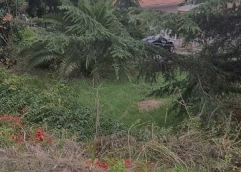 vista dal terreno.jpg - Terreno agricolo strada Solaro 78, Sanremo - foto 12