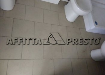Ufficio Via Firenze, Collesalvetti - foto 4