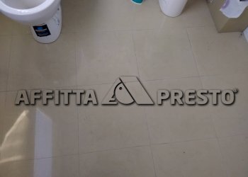 Commercial Activity Via Firenze, Collesalvetti - photo 10