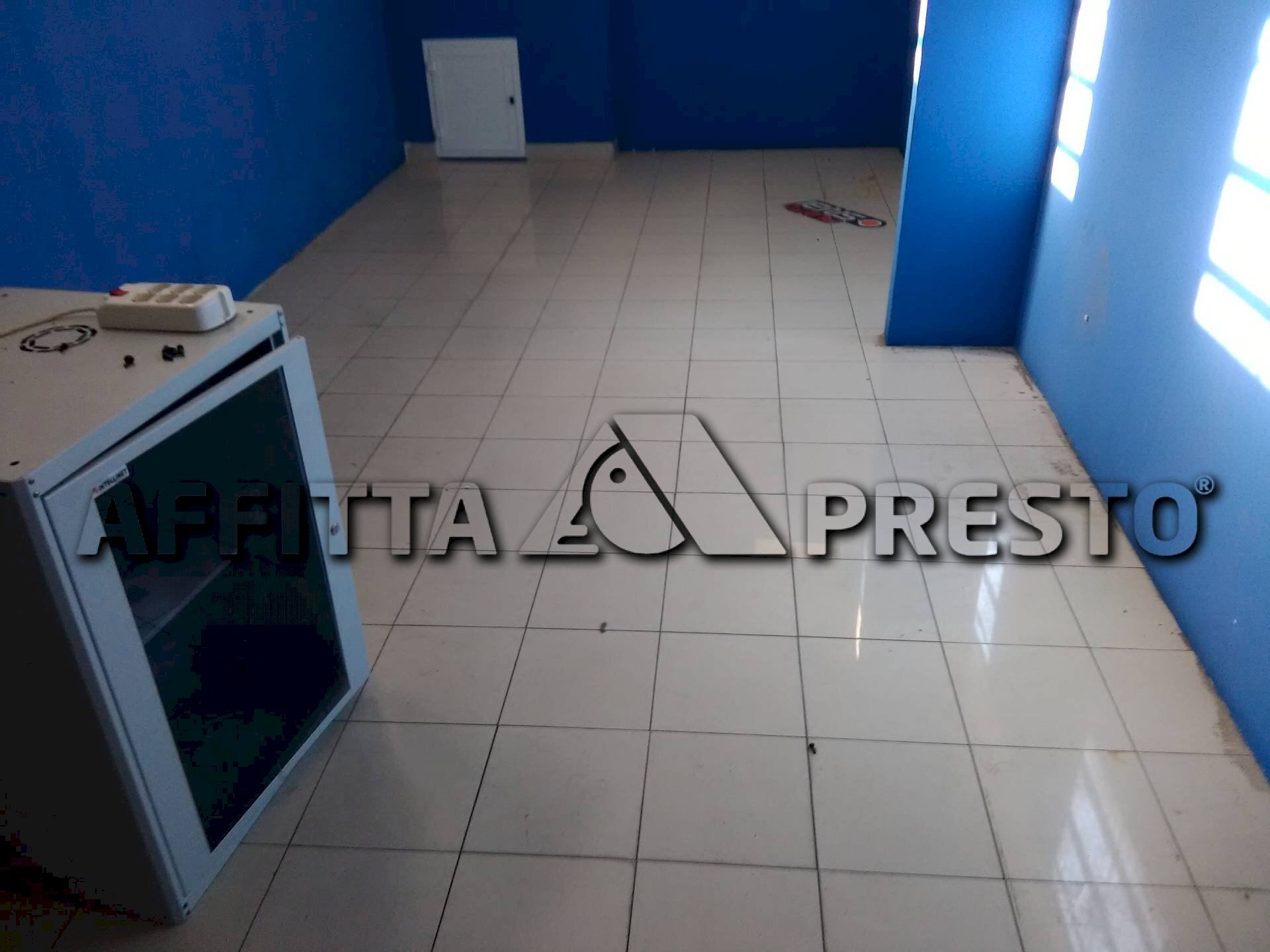 Attività Commerciale Via Firenze, Collesalvetti - foto 2