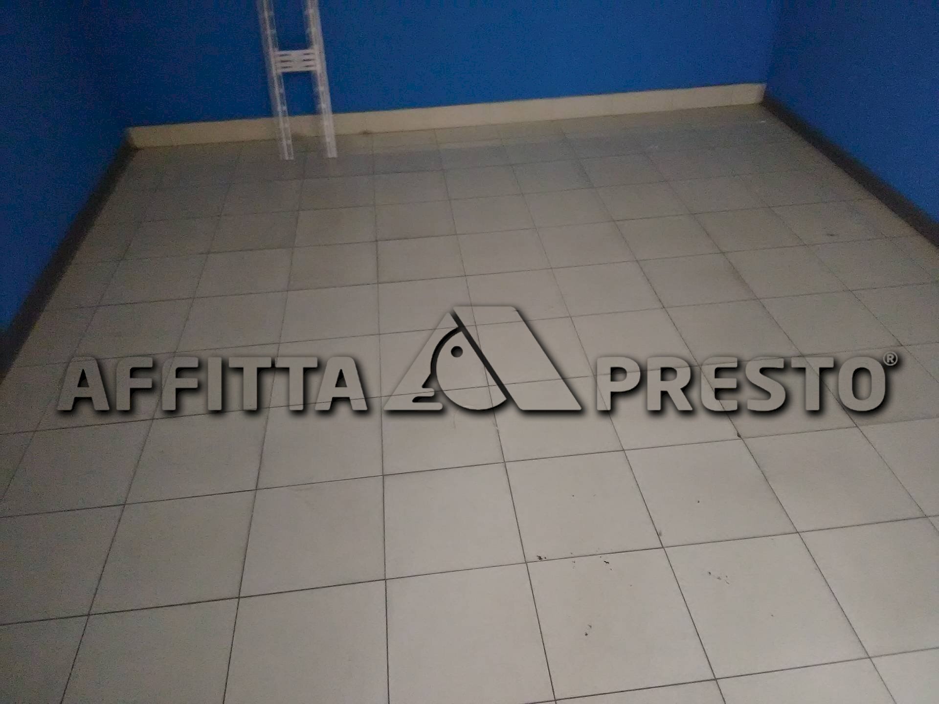 Attività Commerciale Via Firenze, Collesalvetti - foto 3