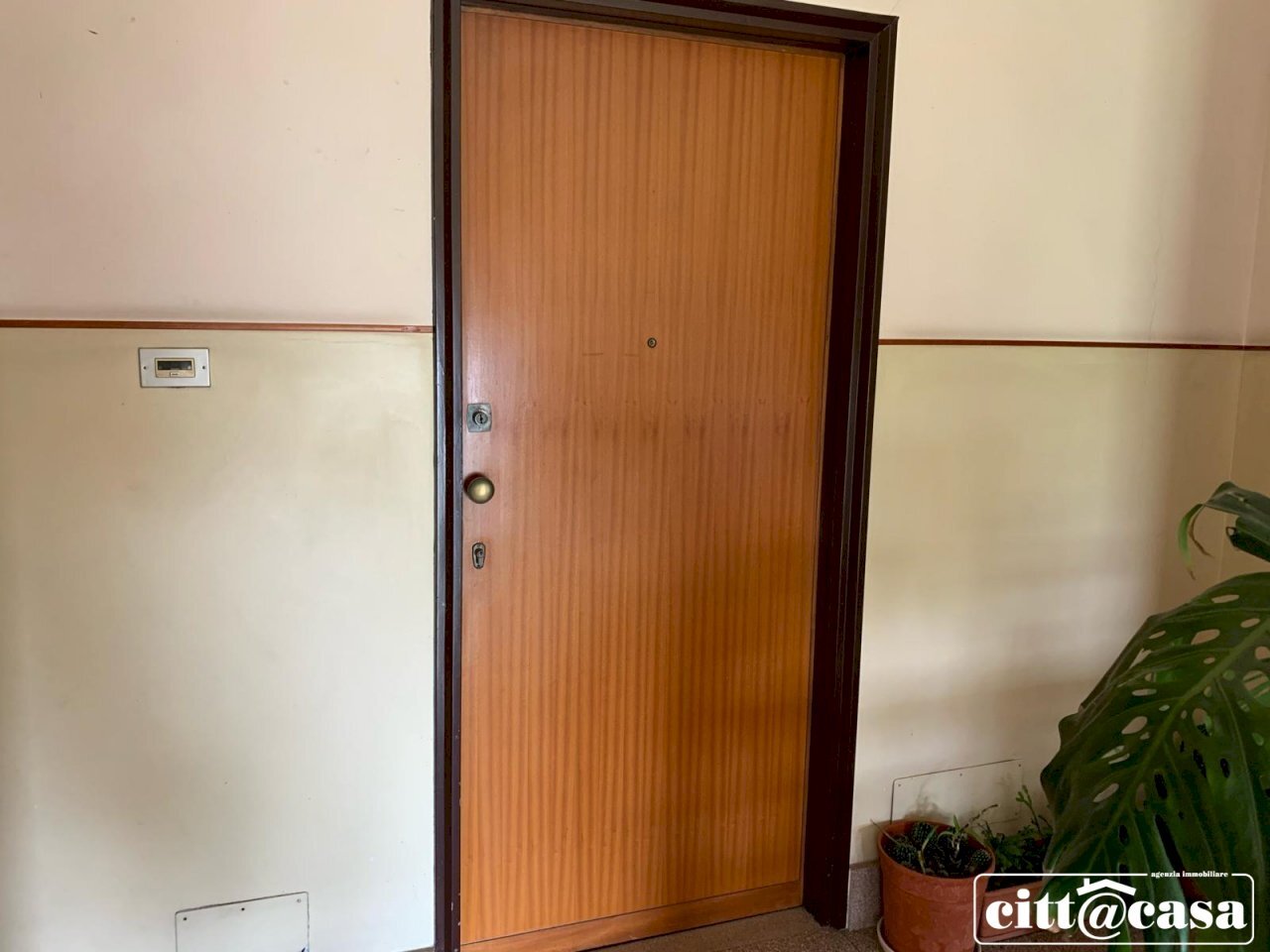 Trilocale Verolengo - foto 3