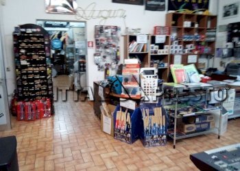 Commercial Activity Collesalvetti - photo 3