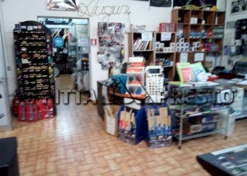 Commercial Activity Collesalvetti - photo 4