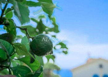 Trilocale Sanremo - foto 18