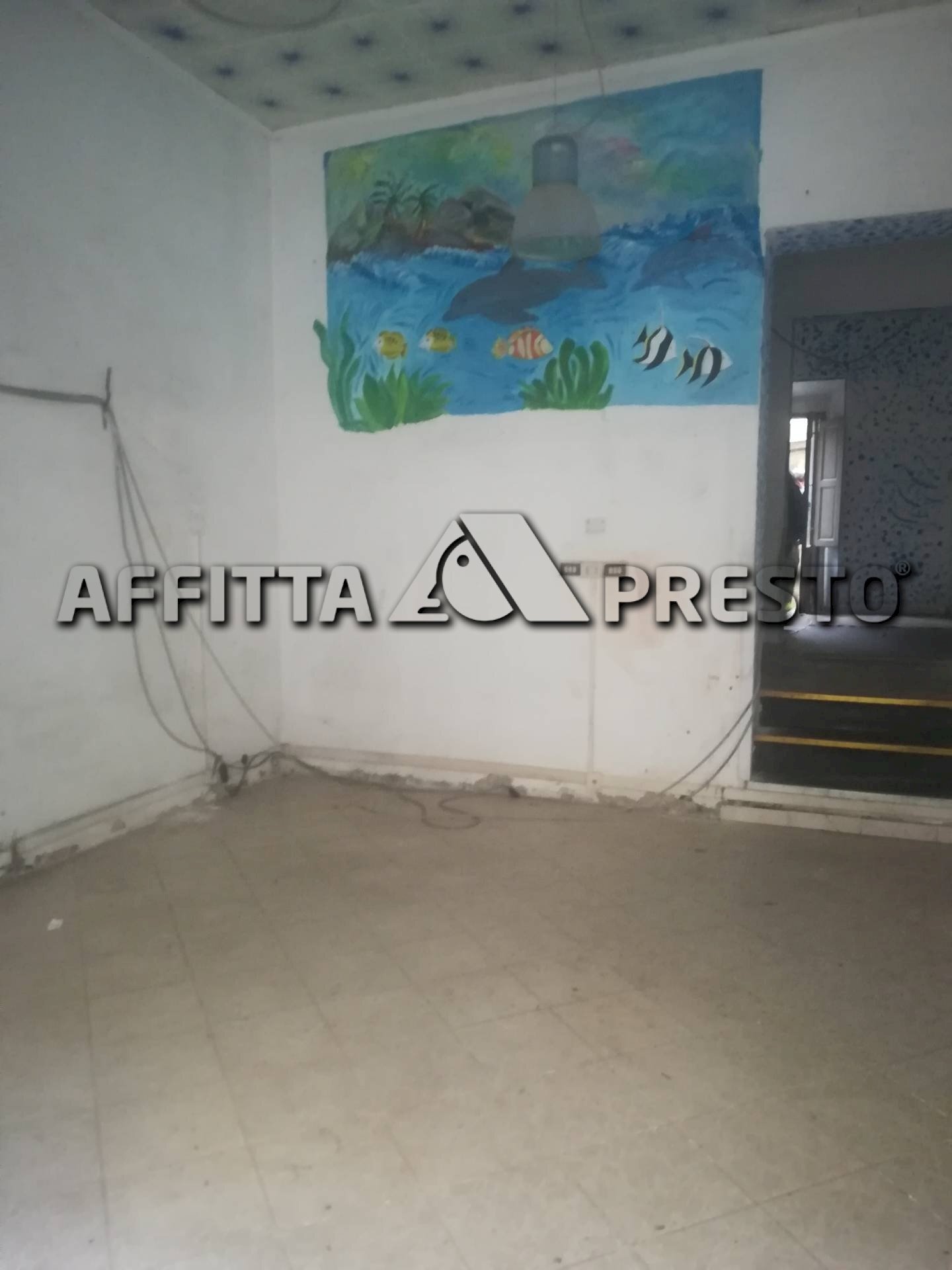 Commercial Activity Livorno (neighborhood Castellaccio) - photo 1