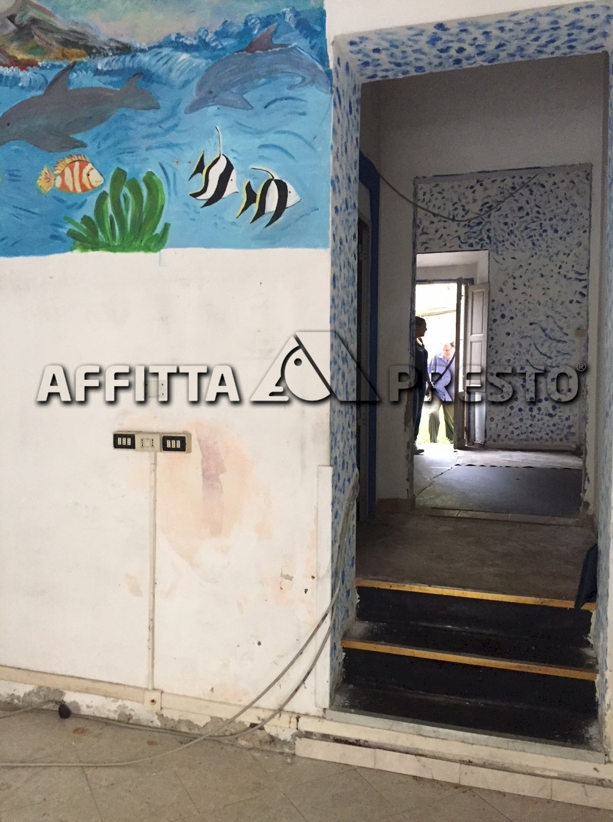 Commercial Activity Livorno (neighborhood Castellaccio) - photo 2