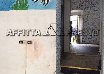 Commercial Activity Livorno (neighborhood Castellaccio) - photo 2