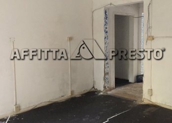 Commercial Activity Livorno (neighborhood Castellaccio) - photo 8