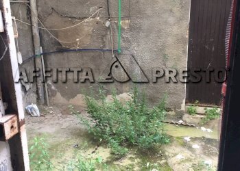 Commercial Activity Livorno (neighborhood Castellaccio) - photo 9