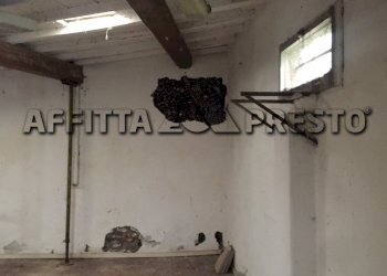 Commercial Activity Livorno (neighborhood Castellaccio) - photo 11