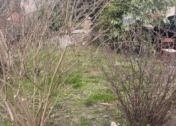 Quadrilocale Cento - foto 18