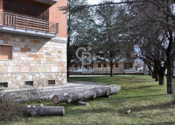 Quadrilocale Strada regionale 83, Villetta Barrea - foto 8