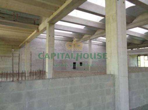 Shed Parma - photo 3