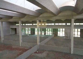 Capannone Parma - foto 6