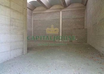 Capannone Parma - foto 7