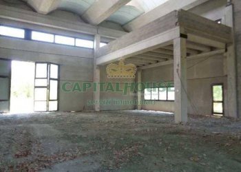 Capannone Parma - foto 9