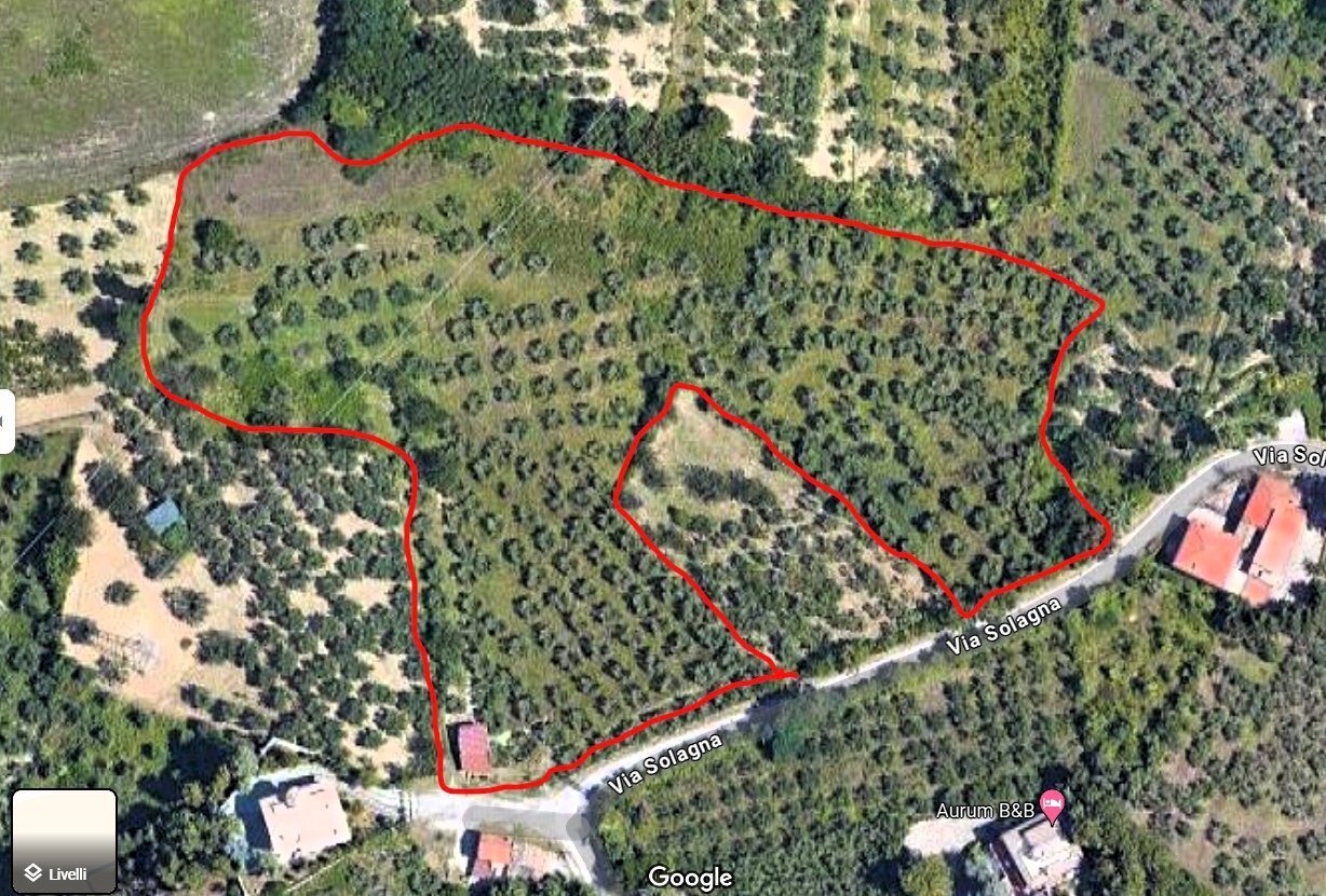 Terreno agricolo via Solagna, San Giovanni Teatino - planimetria 1