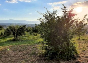 Terreno - Agricultural land via Solagna, San Giovanni Teatino - photo 4
