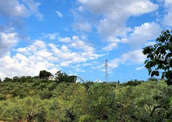 Terreno - Agricultural land via Solagna, San Giovanni Teatino - photo 7