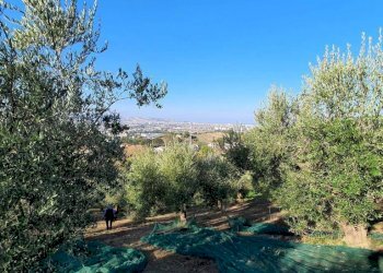 Vista - Agricultural land via Solagna, San Giovanni Teatino - photo 9