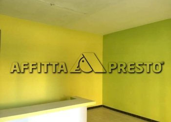 Commercial Activity Collesalvetti - photo 2