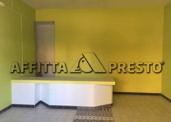 Commercial Activity Collesalvetti - photo 3